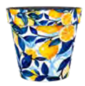Marbella Zest Pot
