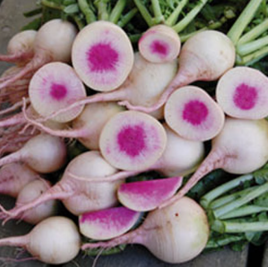 Seed Savers Watermelon Radish