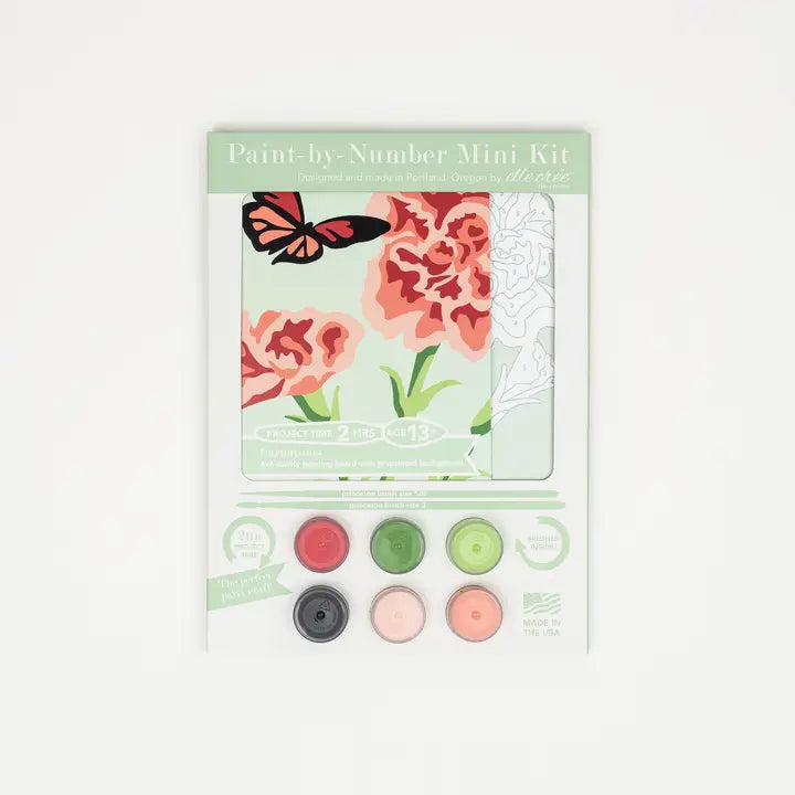 Carnations Mini Paint by Number Kit