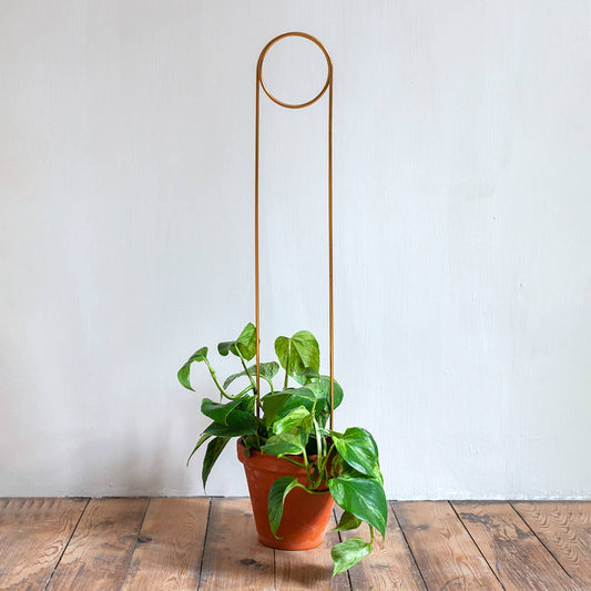 Golden plant stake from metal - Pin
