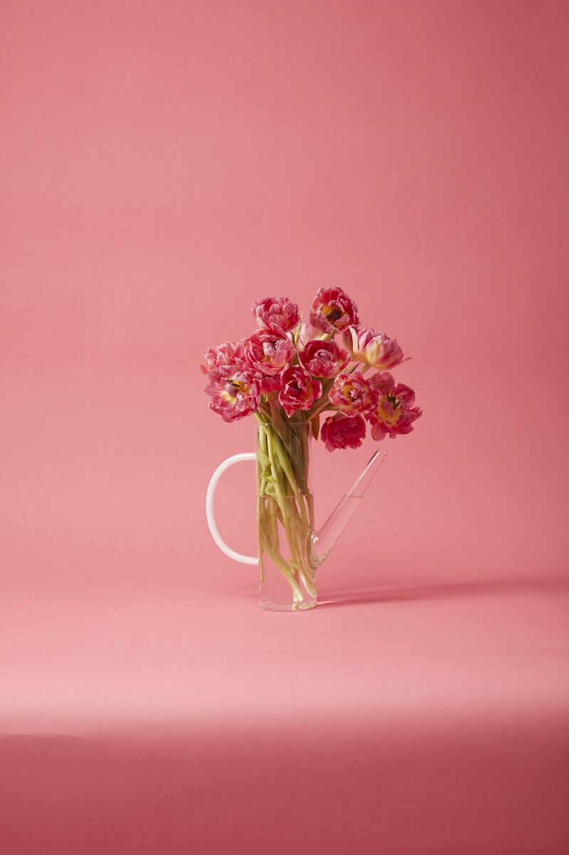 Arlo Watering Can