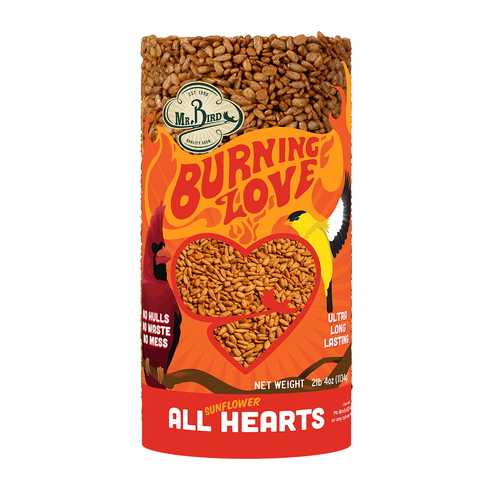 Burning Love Small Cylinder