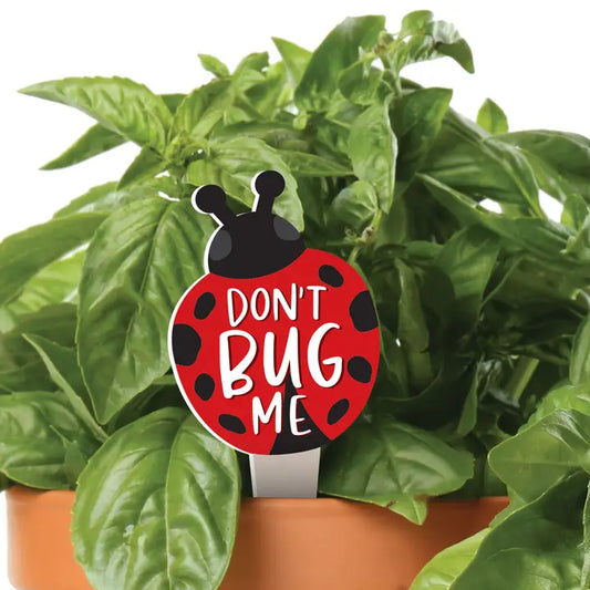 Don't Bug Me Plant Pal