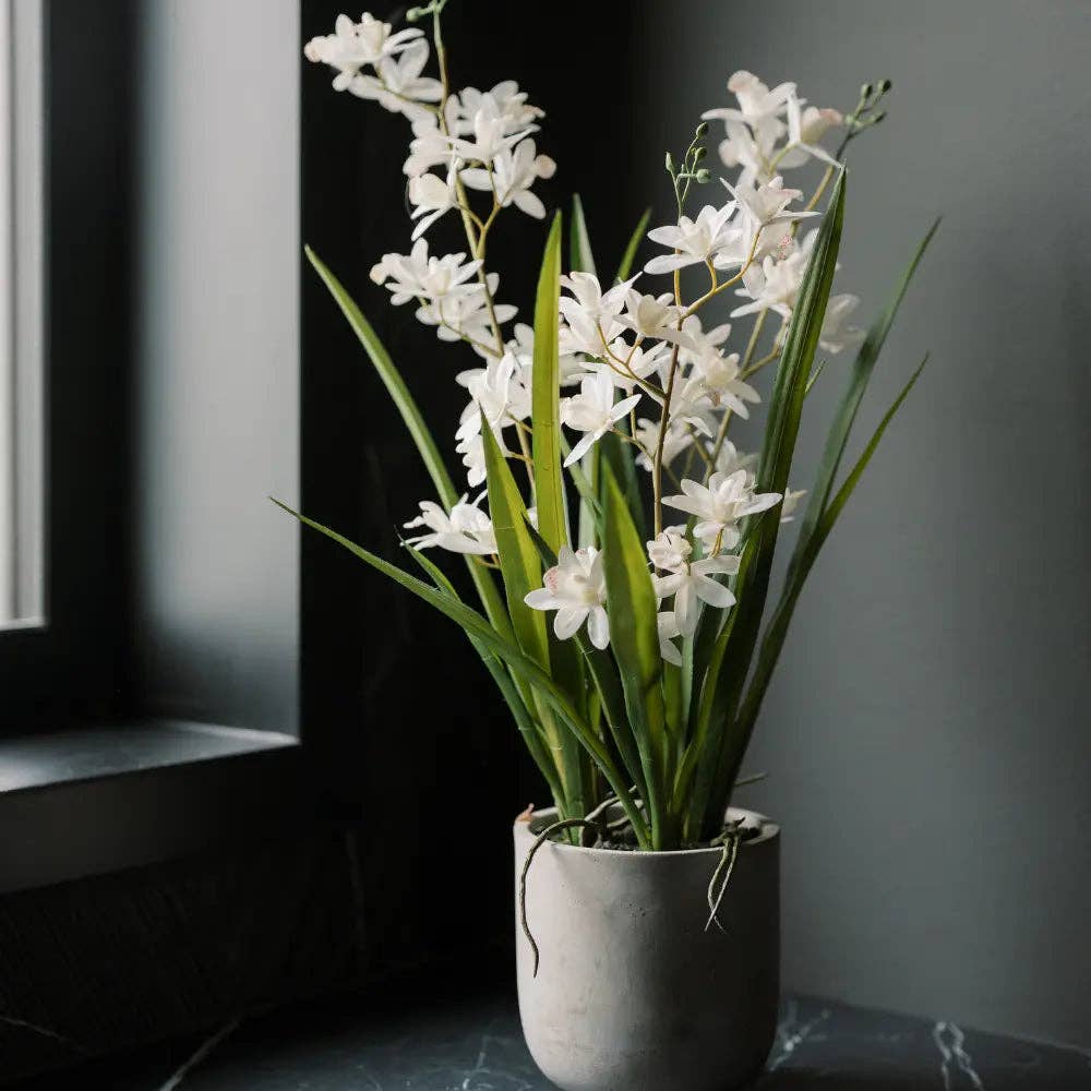Artificial White Orchid in Vanda Pot