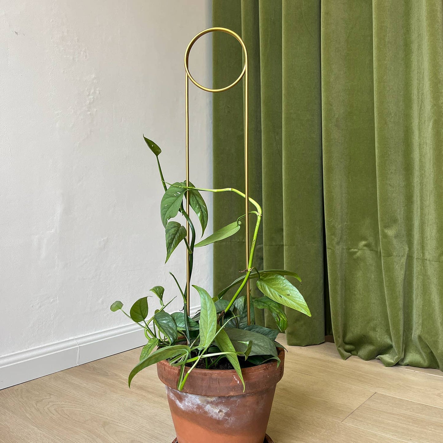 Golden plant stake from metal - Pin