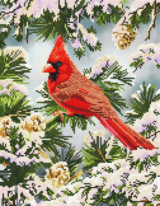 Good Fortune Cardinal Diamond Art
