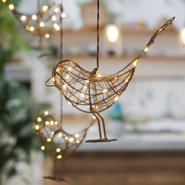 Hanging Robin
