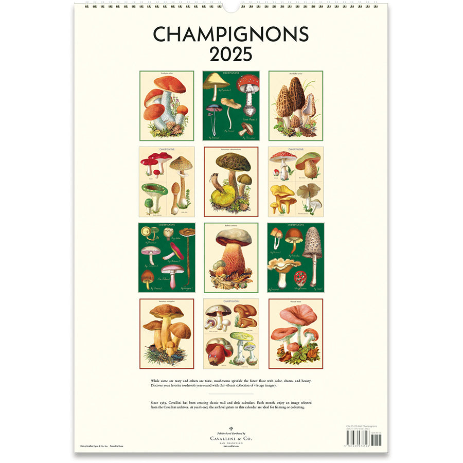 Champignons Wall Calendar