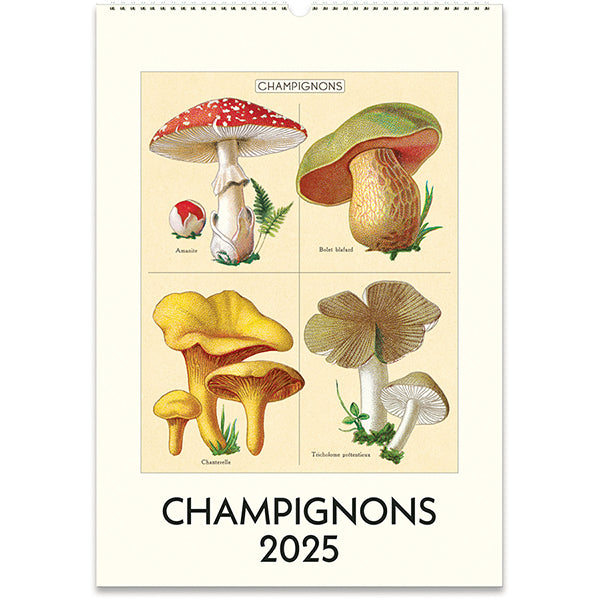 Champignons Wall Calendar