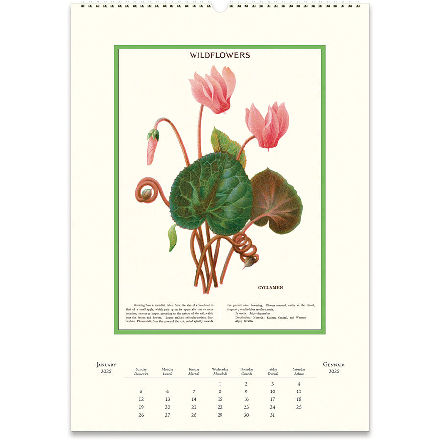 Wildflowers Wall Calendar