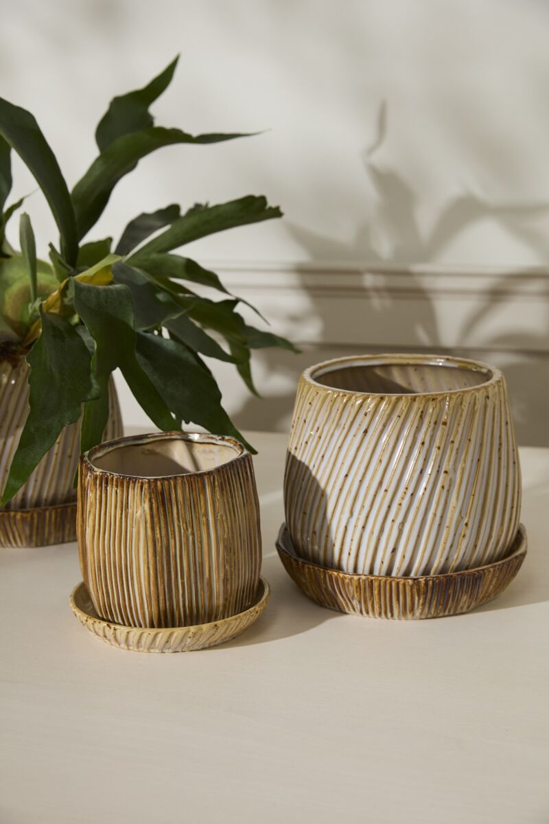 Carved Pot with Saucer