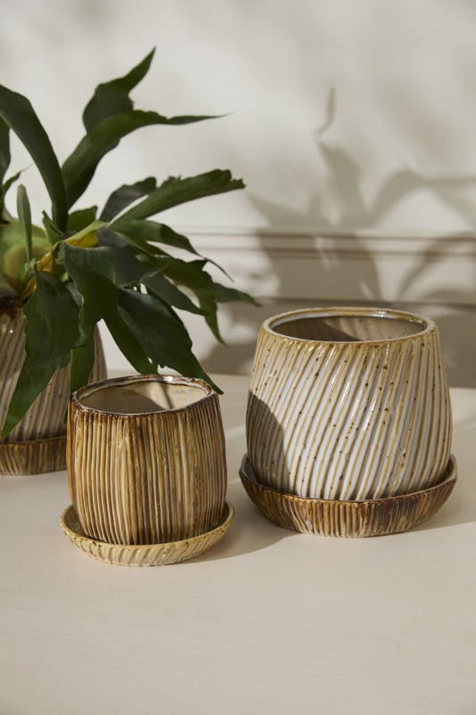 Carved Pot with Saucer