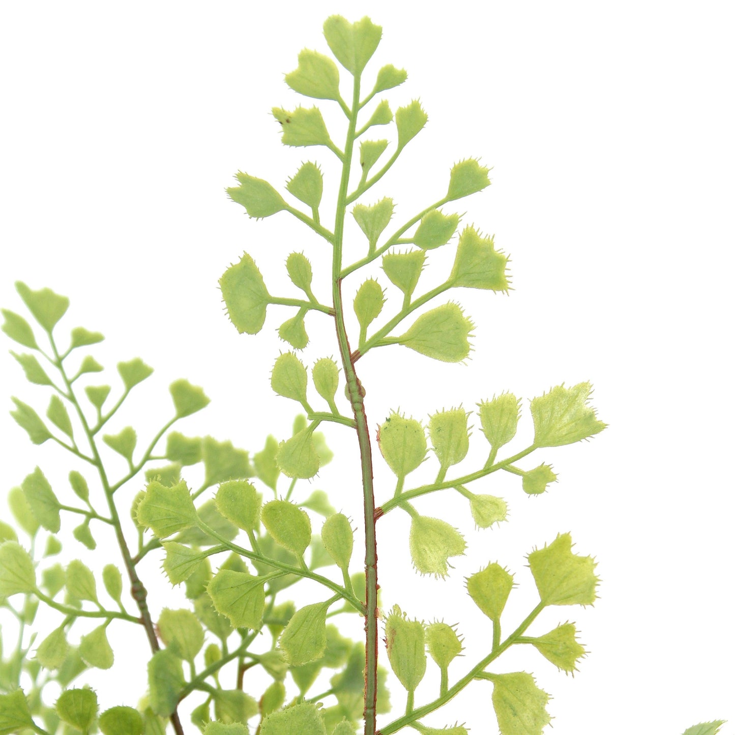 16" Faux Plant