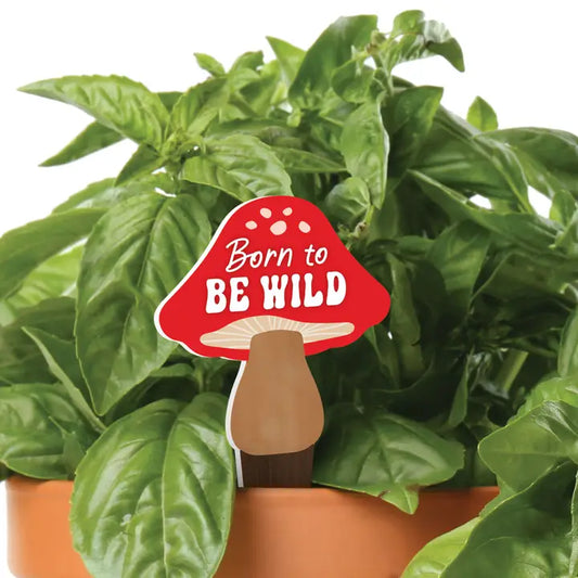 Born To Be Wild Plant Pal