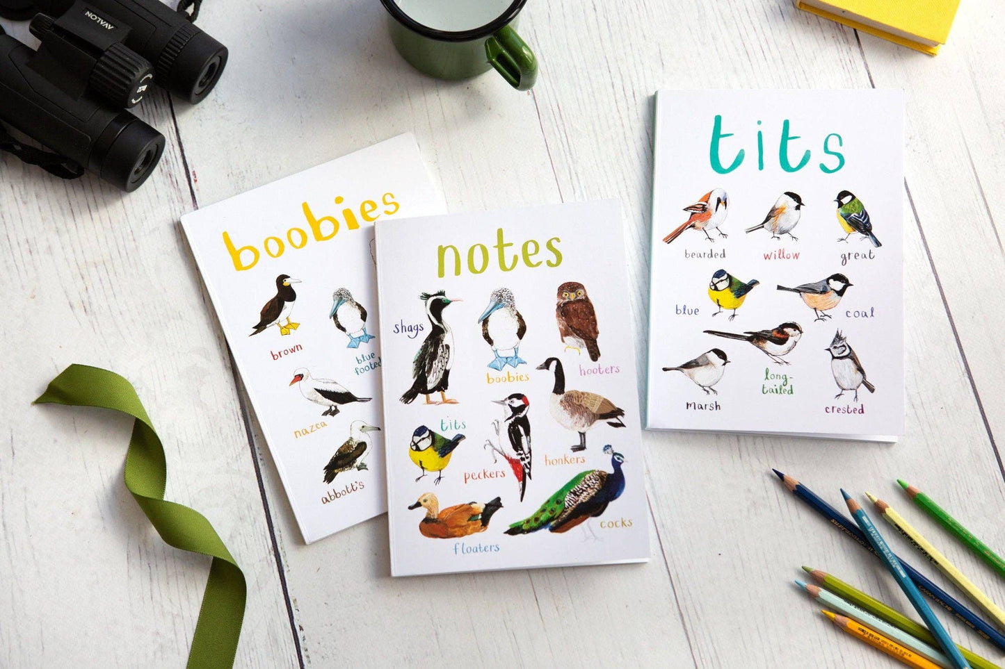 Tits A5 Recycled Bird Notebook