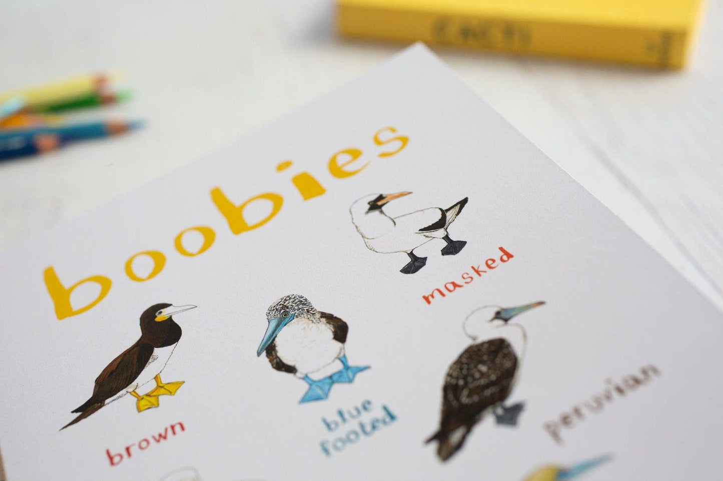 Boobies Recycled Notebook