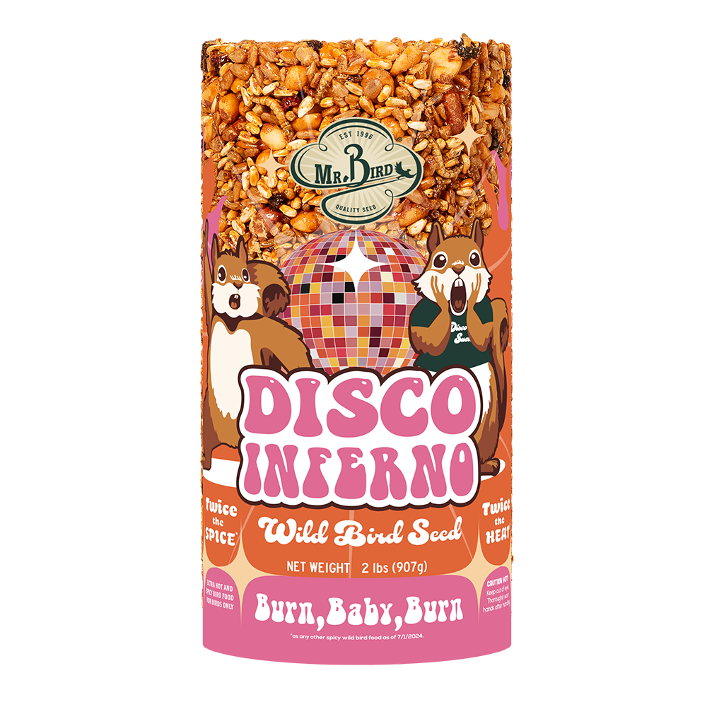 Disco Inferno Small Cylinder
