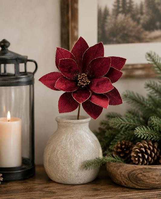 Burgundy Magnolia