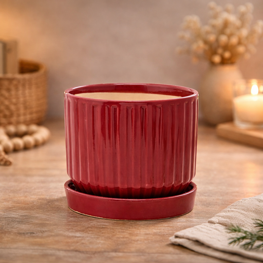 Burgundy Ribbed Planter with Saucer