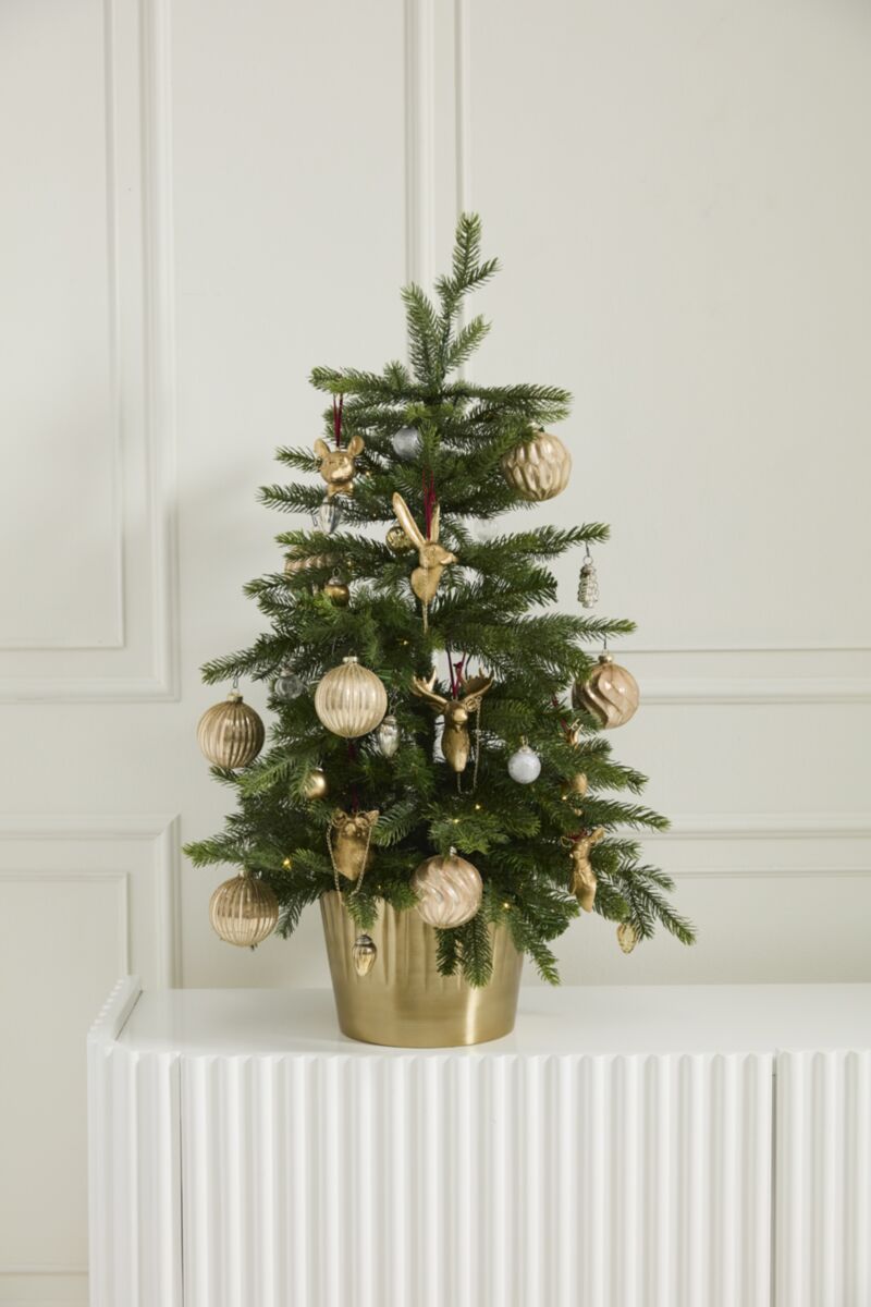 E+E Ornament