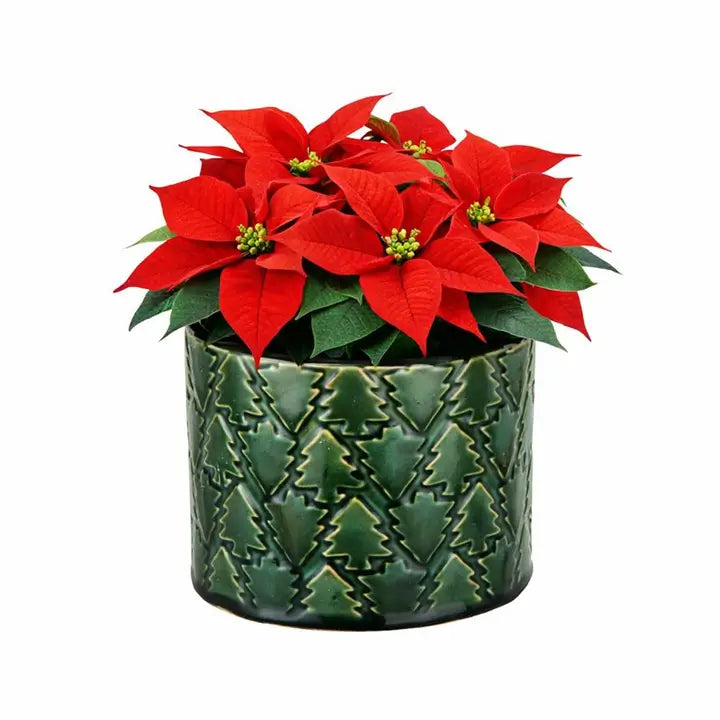 Embossed Christmas Tree Design Planter