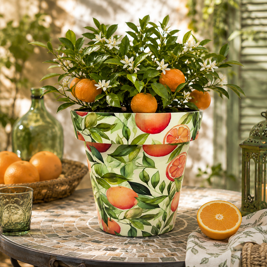 Zest Pot Monda