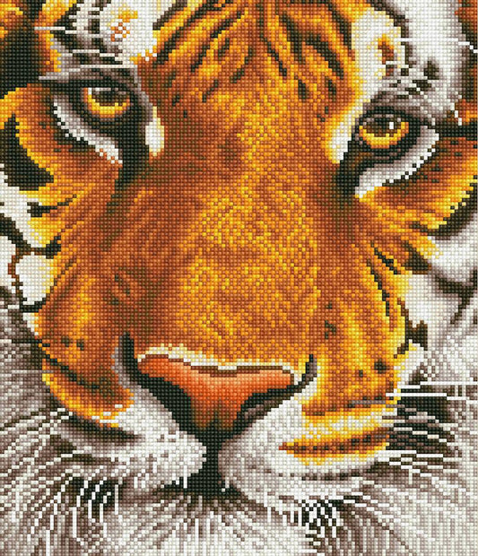 Bengal Magic Diamond Art