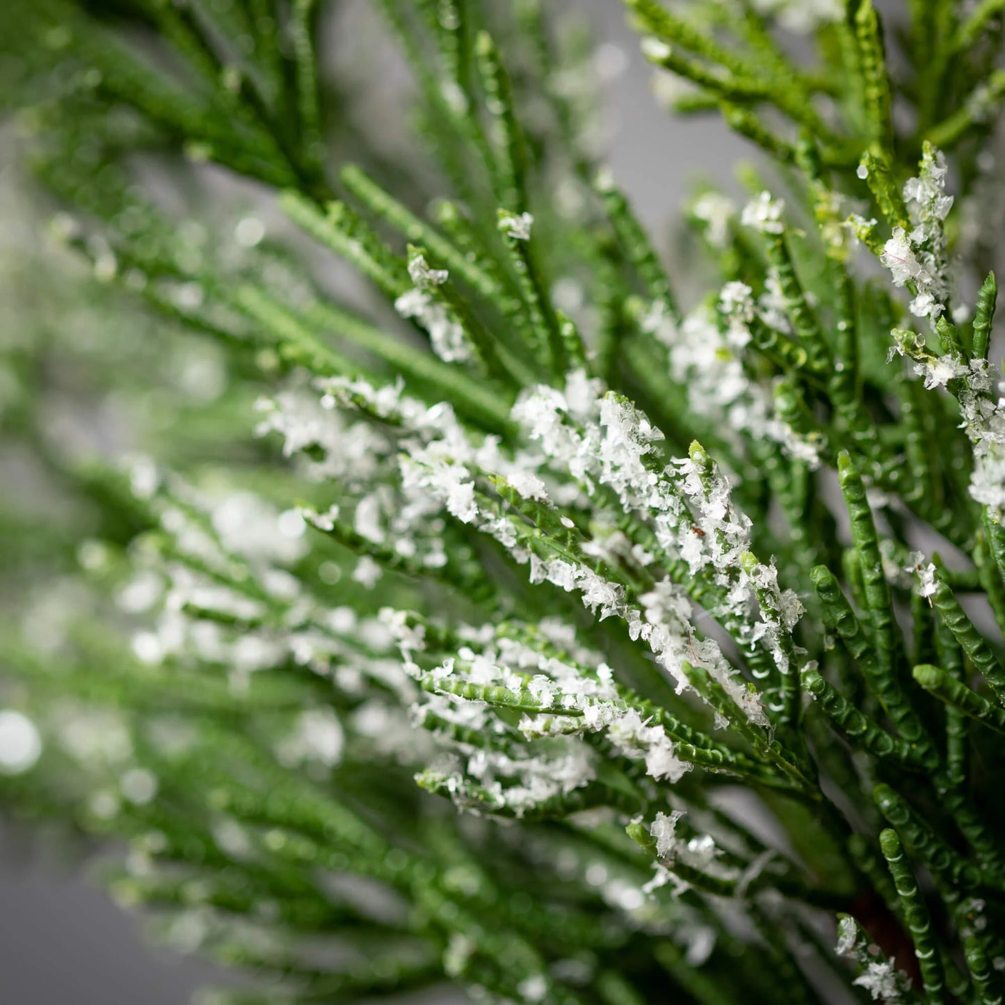 Frosted Cedar Garland