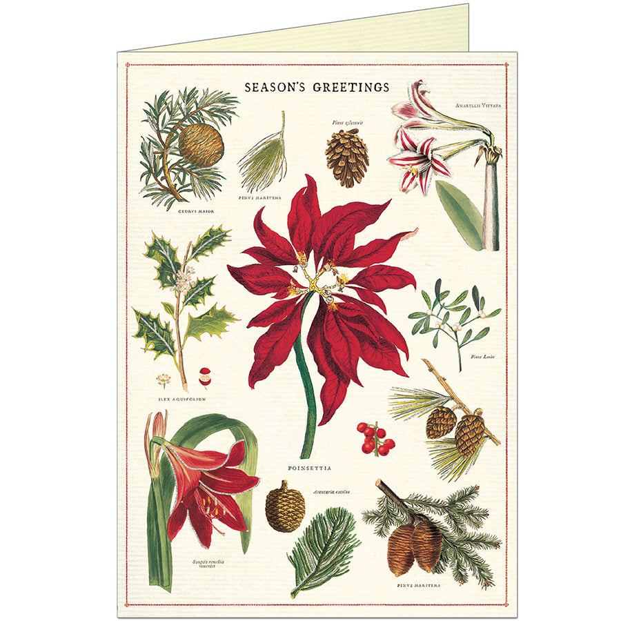 Botanica Christmas Boxed Cards