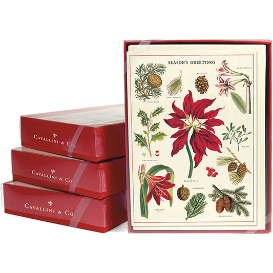 Botanica Christmas Boxed Cards