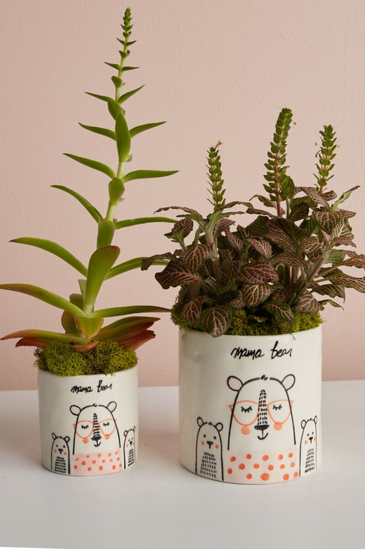 Mama Bear Pot