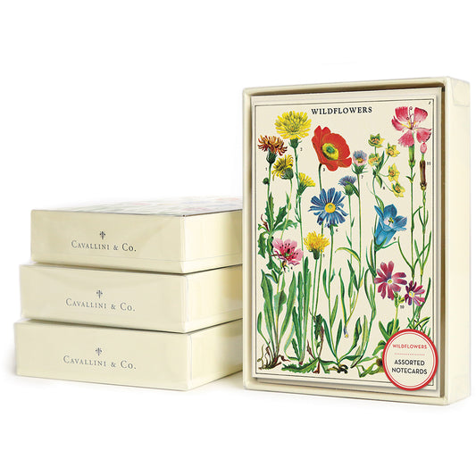 Wildflowers Boxed Notecards