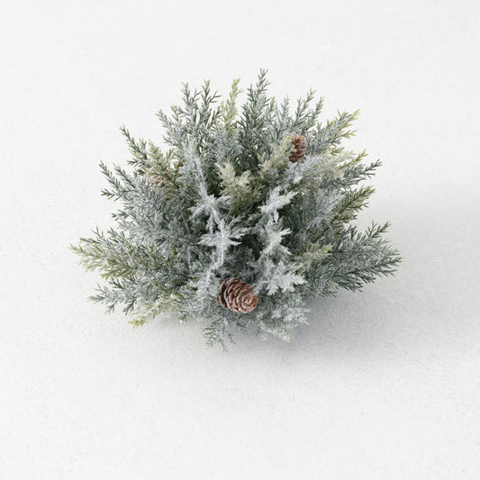 Frosty Prickly Pine 1/2 Orb