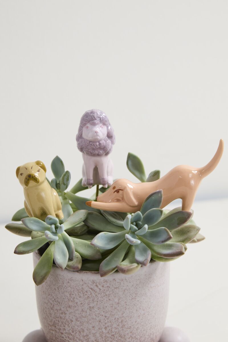 Playful Pups Plant Sticks