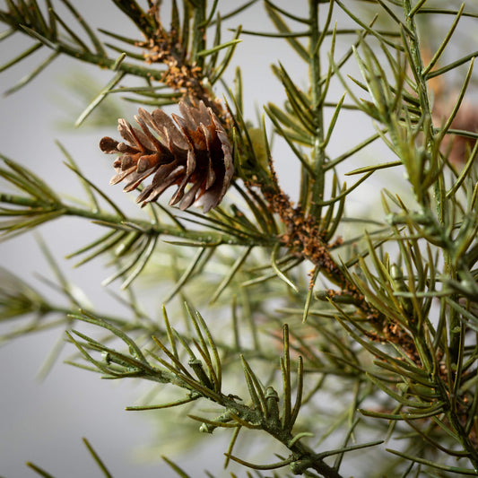 Cedar Pick w/ Pinecones