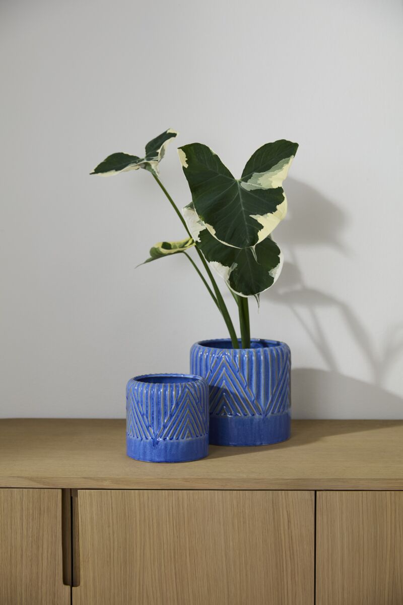 Refresh Pot