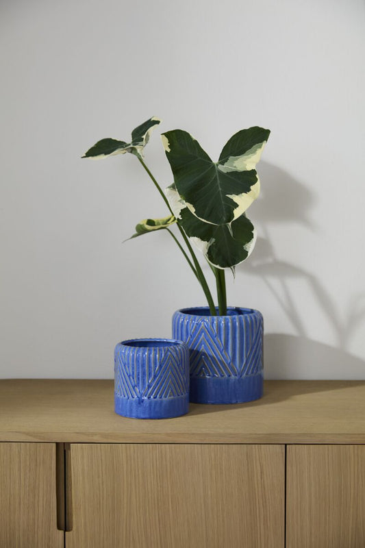 Refresh Pot