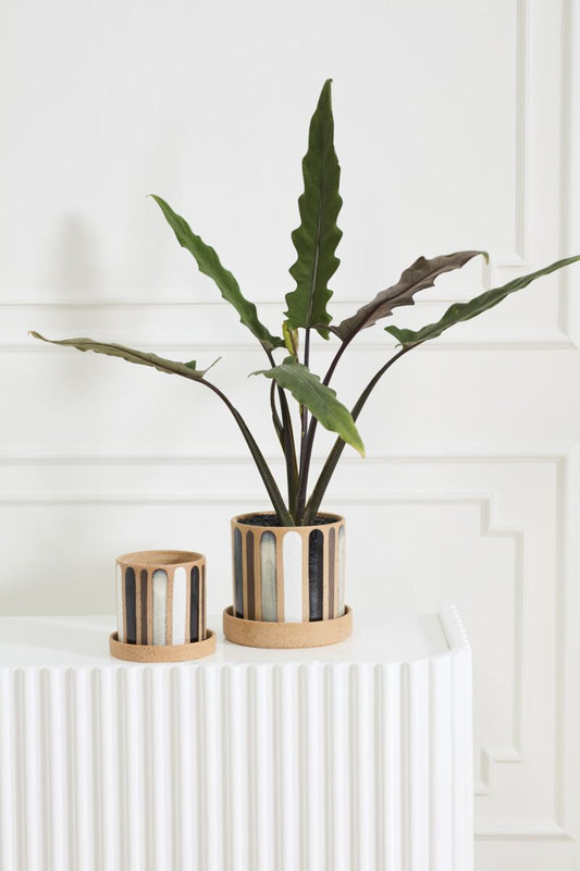 Truman Pot with Saucer