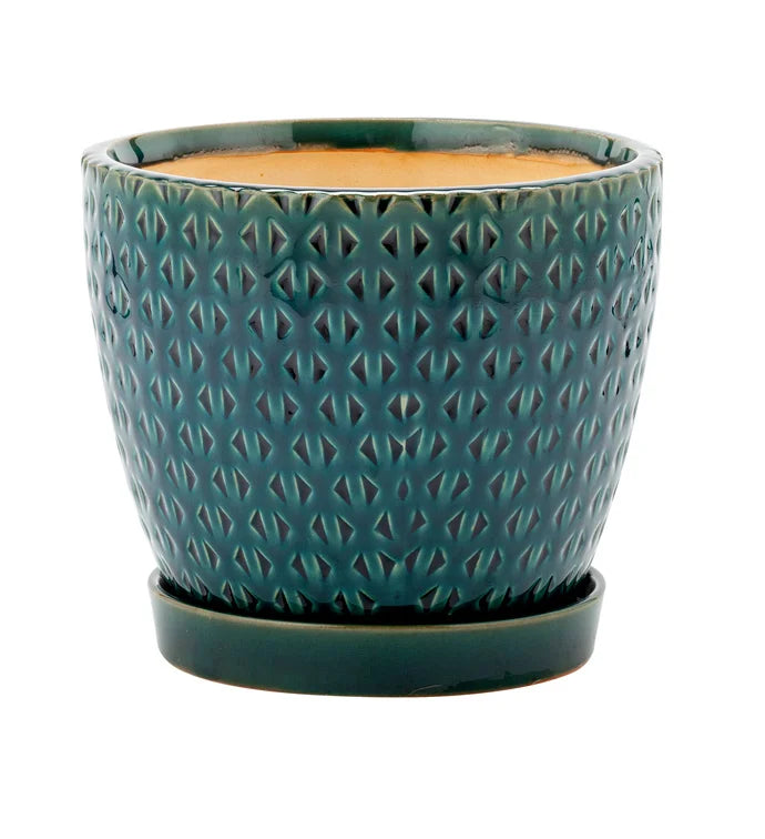 Teal Planter w/ Saucer