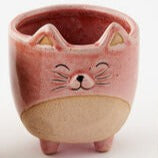 Cat Pot