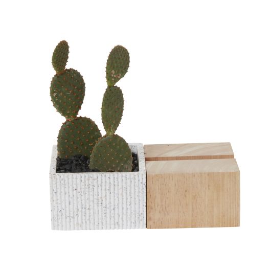 Aravalli Phone Stand Planter