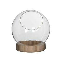 Manhattan Bowl On Dish Transparent